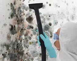 Environmental Consulting for Mold Prevention in Lakeland Village, CA